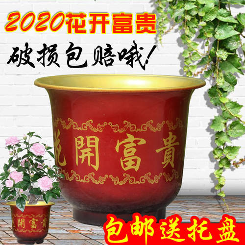 花开富贵花盆价格 花开富贵花盆图片 星期三