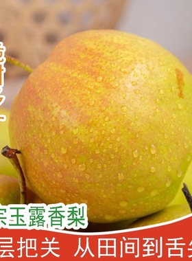 正宗山西玉露香梨脆甜多汁隰县雨露香梨子当季新鲜礼盒5/10斤包邮