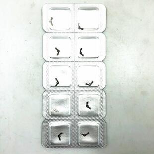 海鸥/ETA机芯配件 ETA2824-2 2836 机芯 活动机 手表机芯配件