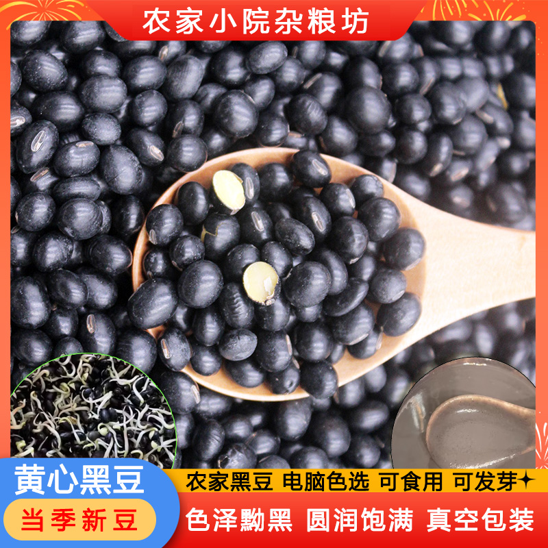 漫泉河黄心绿心黑豆当季新豆