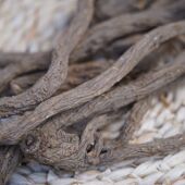 味浓油足 非种植 青藏高原野生当归500g 自然晾晒