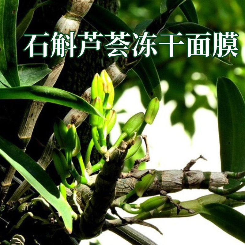 石斛芦荟冻干面膜 遇水出精华 舒缓镇定保湿水润 0防腐