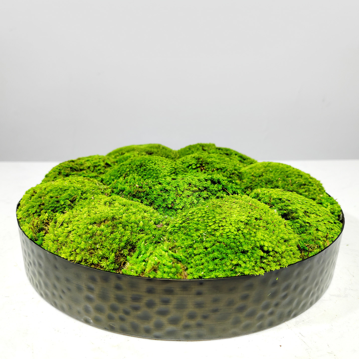 永生苔藓仿真花艺摆件绿植花盆