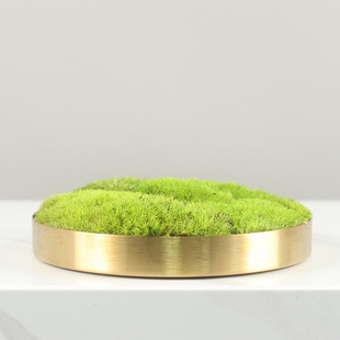 新中式仿真青苔绿植盆景摆花侘寂风桌花茶台茶室永生苔藓花艺摆件