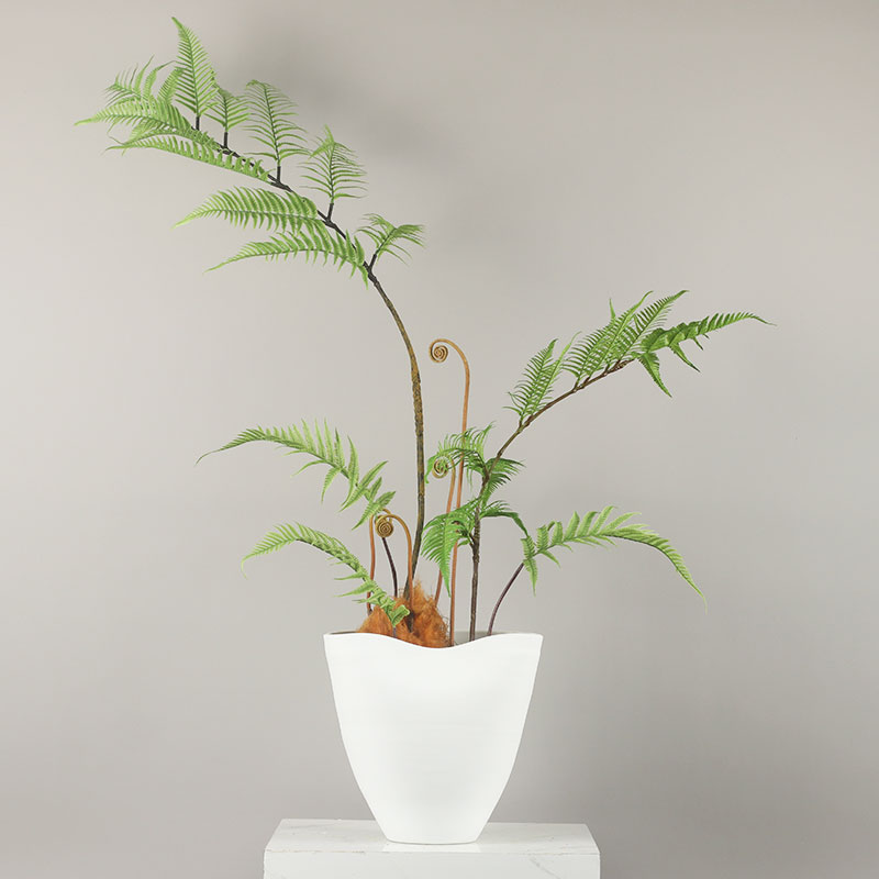 茶几金丝蕨新中式摆件绿植盆景