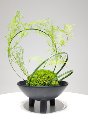 新中式绿植禅意永生苔藓仿真文竹盆景盆栽客厅餐桌现代装饰花摆件