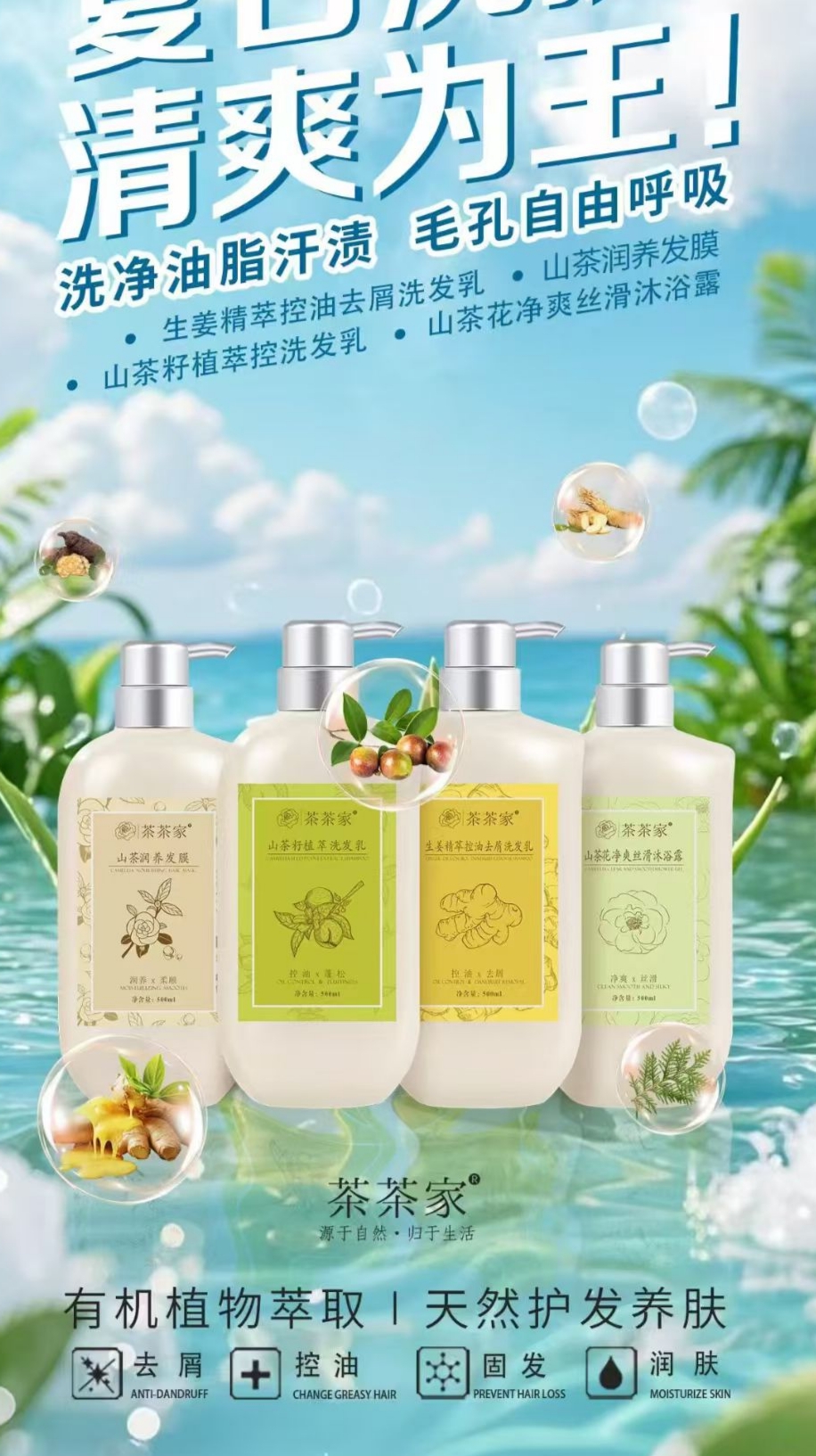 茶家山茶花净爽丝滑沐浴露生姜精萃控油去屑水洗发乳丝滑发膜润发