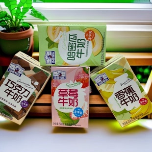 汤臣牧场牛奶哈密瓜味草莓味巧克力味香蕉味250毫升24盒