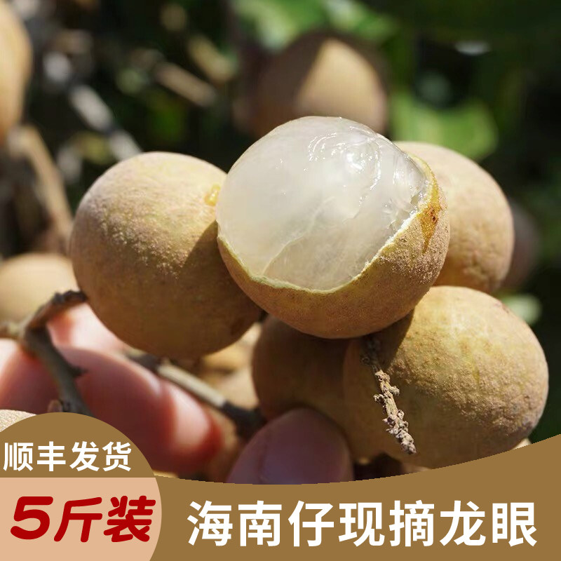 海南龙眼新鲜当季水果顺丰空运