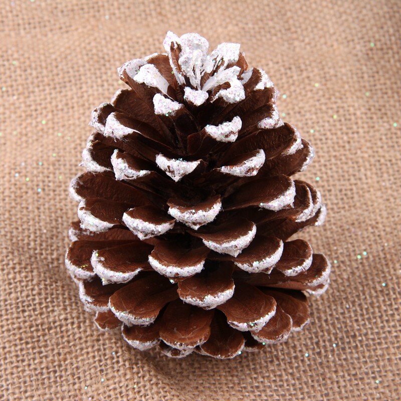 圣诞节圣诞树装饰雪松果 园艺景观布置天然美国湿地松大松果松塔