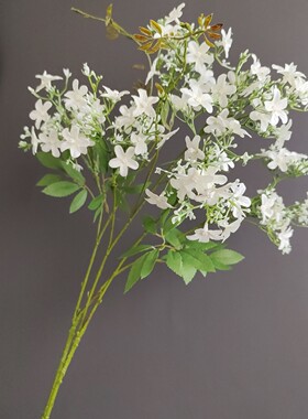 光影艺轩绢花夜来香单枝花
