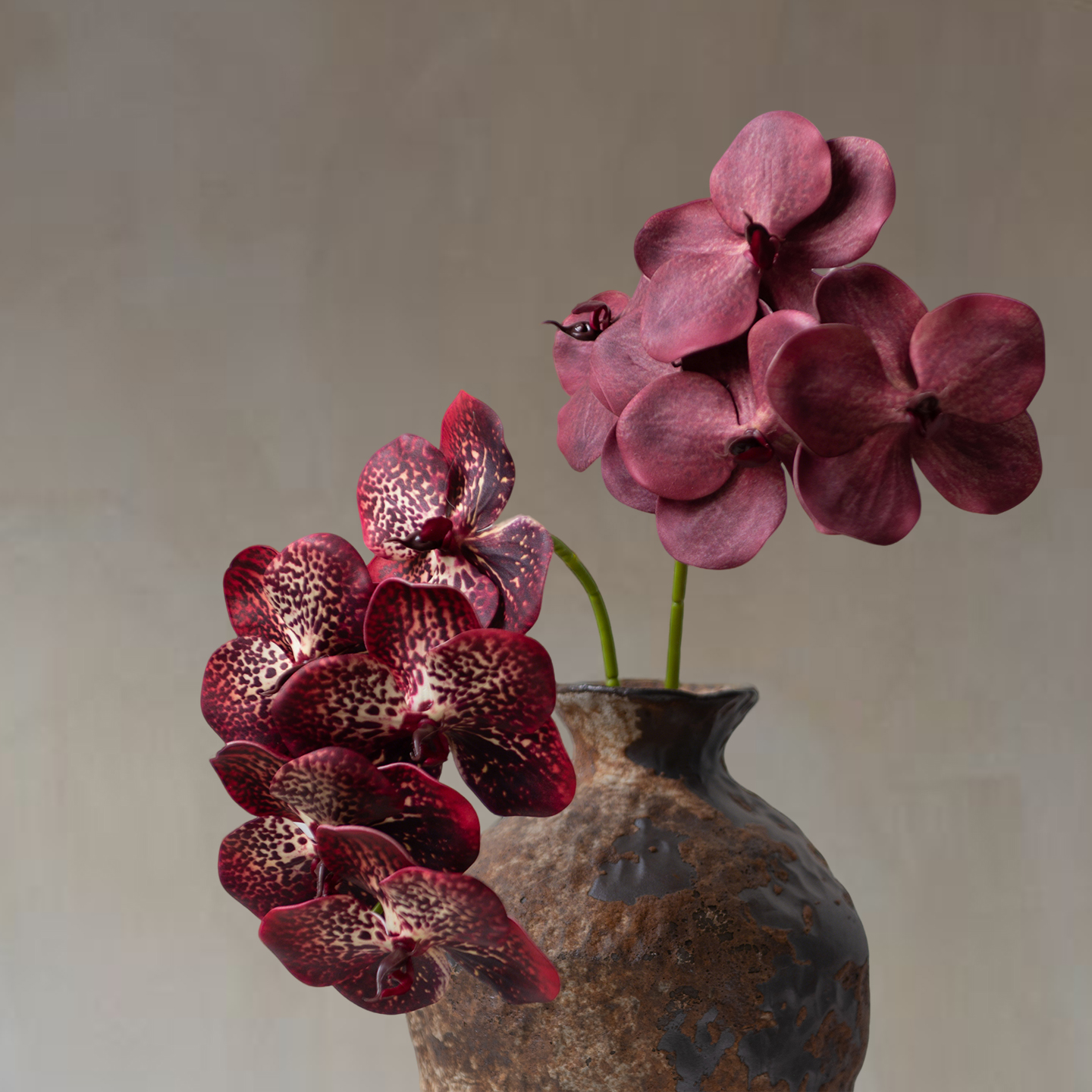高级感胡姬花蝴蝶兰万代兰假花仿真花摆设餐桌花摆花客厅玄关摆件