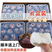 包邮 10斤特大果不带泥乐昌北乡马蹄免洗新鲜水果11 14个一斤顺丰