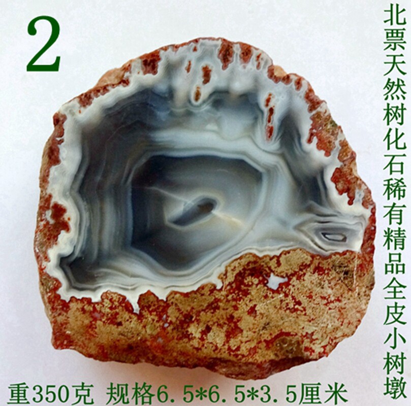 玛瑙石树,玛瑙树是什么树,玛瑙树盆景图片_大山谷图库