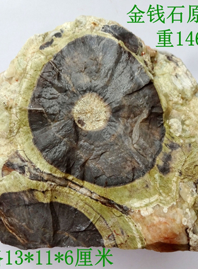 天然稀有奇石北票金钱石原石