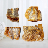 奇石观赏石模树叶菊石三叶虫狼鳍鱼昆虫树叶植物化石原石标本2509