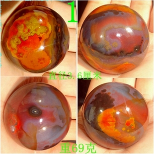 古生物菊石树化石树化玉水晶山旺化石原石战国红玛瑙漂亮圆球2501