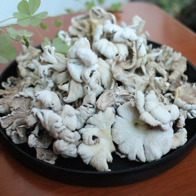 野生天花菌白参菌雪莲菌食用干花菌云南土特产 星光土特产