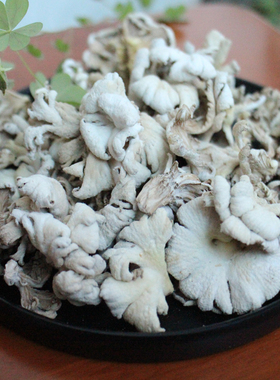 野生天花菌白参菌雪莲菌食用干花菌云南土特产 星光土特产