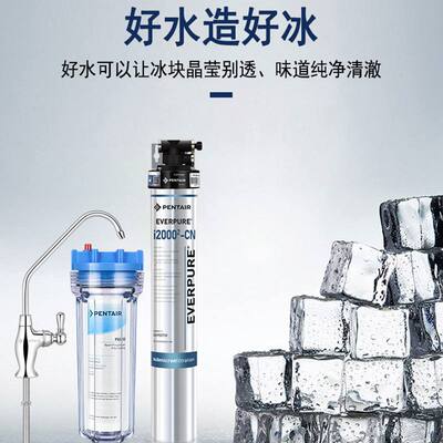 批发爱惠浦I20002净水机 商用餐厅过滤器 制冰机用过滤器