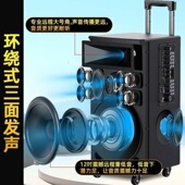 山水TE12户外移动拉杆K歌广场舞大功率演出音响唱歌跳舞直播音箱