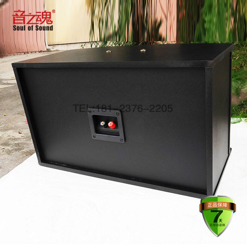 8新款寸10寸家庭KTV会议K歌低音挂式ifi音箱卡拉ok家用音响音之魂