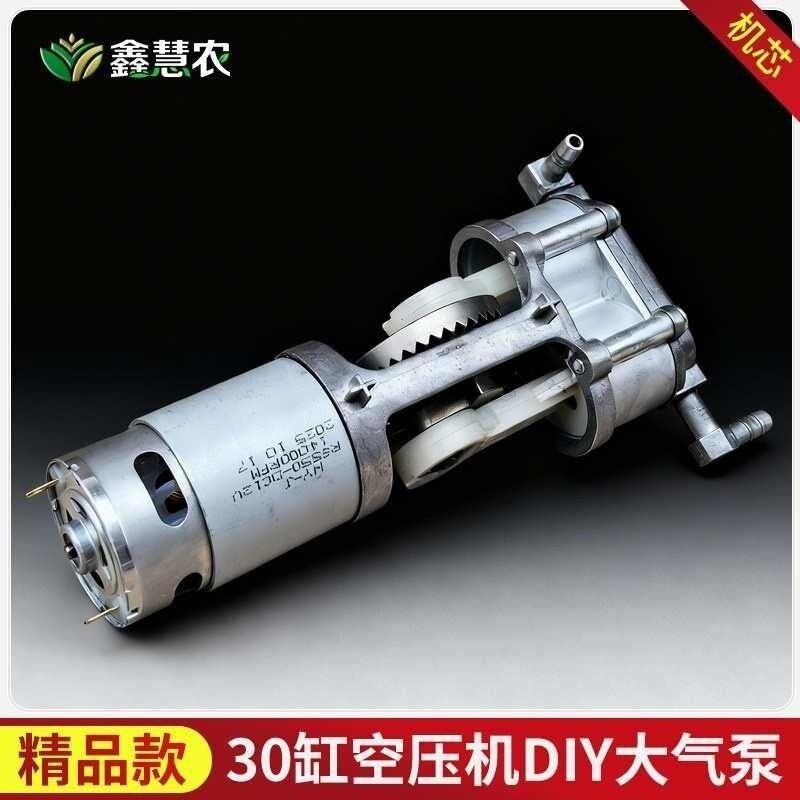 DIY空压机芯迷你车载高压大气量汽车轮胎打气果树吊针打气机30缸