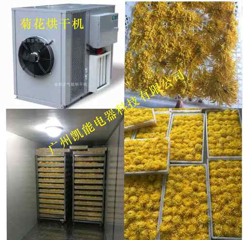 金凯菊花空气能 热泵烘干设备节能药材热泵烘干机