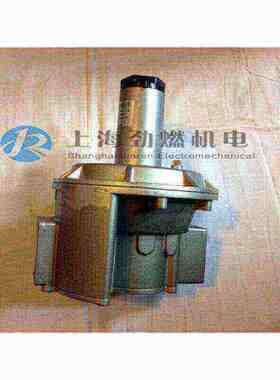 RG032-FT-1B意大利GECA RG040-FT-1B,RGD32-FT-1B,RGD40-FT-1B