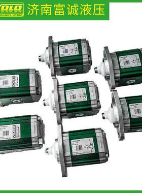 优惠供VIVOLO维沃原厂液压泵X1P1731CBBA意大利液压齿轮泵价格