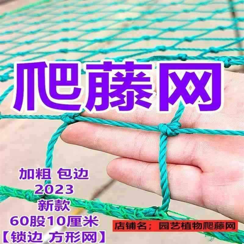 植物锁边种植物攀爬网家庭园艺搭架网黄瓜葡萄百香果爬藤网农用网,鲜花速递/花卉仿真/绿植园艺,其它园艺用品,淘宝优惠券,粉丝福利购,淘宝优惠卷