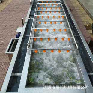 全自动毛豆清洗机 大型毛豆加工设备 不锈钢气泡式工厂洗毛豆机器