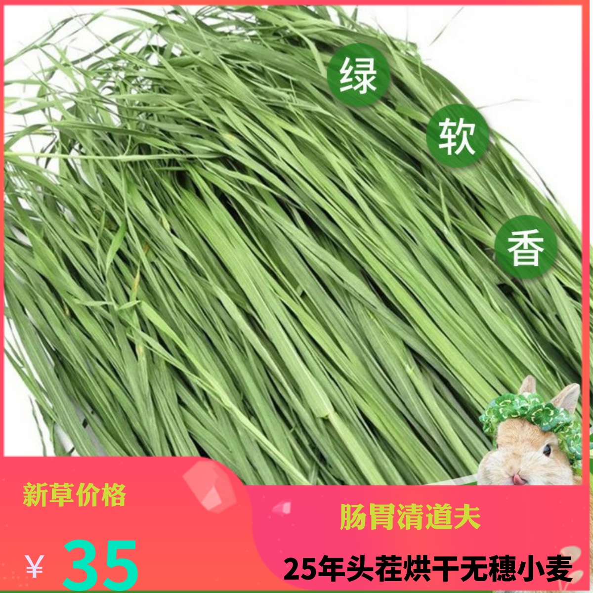 天竺鼠龙猫兔子豚鼠干草小麦草