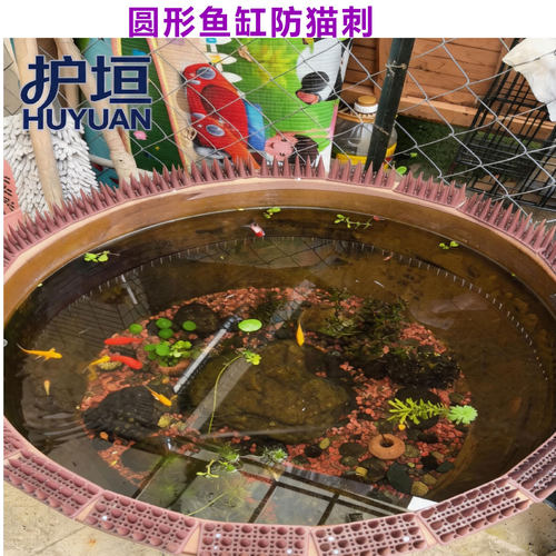 护垣圆形鱼缸防猫刺4排PP硬刺防猫刺钉防猫垫塑料防猫刺垫防猫刺