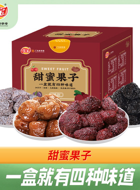 佳宝甄选甜蜜果子438g加应子陈皮梅九制杨梅广东老字号休闲小零食
