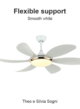 Flower Ones现代简约家用客餐厅北欧吊扇大风力卧室静音电风扇灯