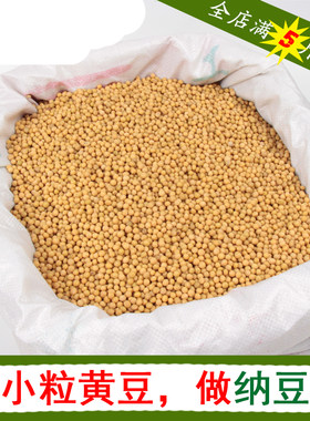 2025年新豆极小粒发豆芽专用黄豆