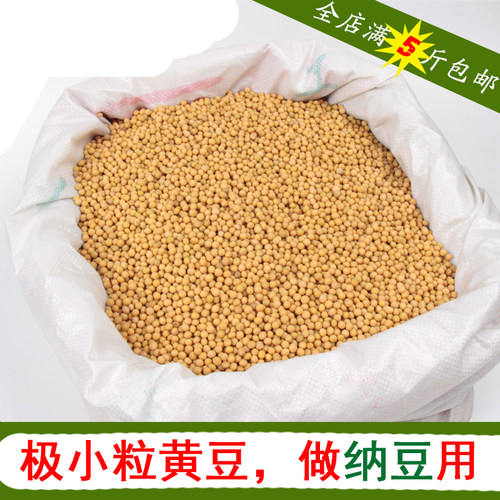 2025年新豆极小粒发豆芽专用黄豆