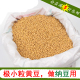 珍珠粒极小粒豆子发豆芽做纳豆专用小粒黄豆子500g