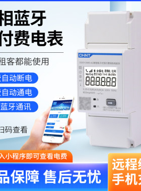 正泰蓝牙4G预付费电表DDSYU666