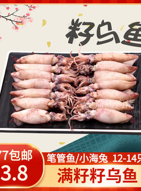 籽乌鱼海兔子满籽新鲜笔管鱼