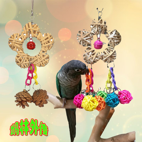 啃咬解闷鹉林外传益智鹦鹉玩具