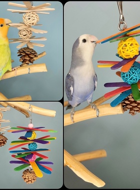 鹦鹉手工益智啃咬玩具原木藤球大号风车玄凤牡丹鹦鹉虎皮站棒笼具