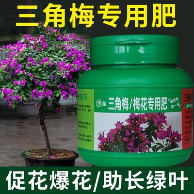 三角梅专用肥梅花有机肥花肥料营养液腊梅肥室内黄叶变绿叶盆景栽