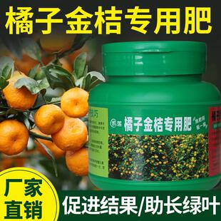 桔子树专用肥橘子树肥料金桔树柑橘复合缓释沃柑果树盆栽的营养液