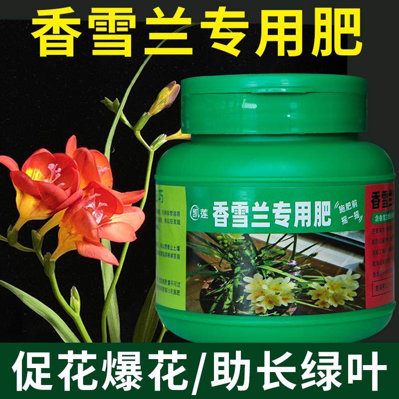 小苍兰专用肥香雪兰肥料绿叶营养液盆景有机肥四季家庭养料颗粒肥,鲜花速递/花卉仿真/绿植园艺,家庭园艺肥料,淘宝优惠券,粉丝福利购,淘宝优惠卷