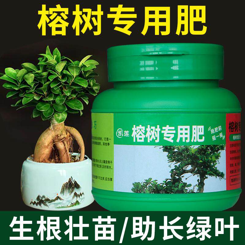 榕树肥料花肥家用通用型复合肥料养花植物盆栽绿植肥料榕树专用肥