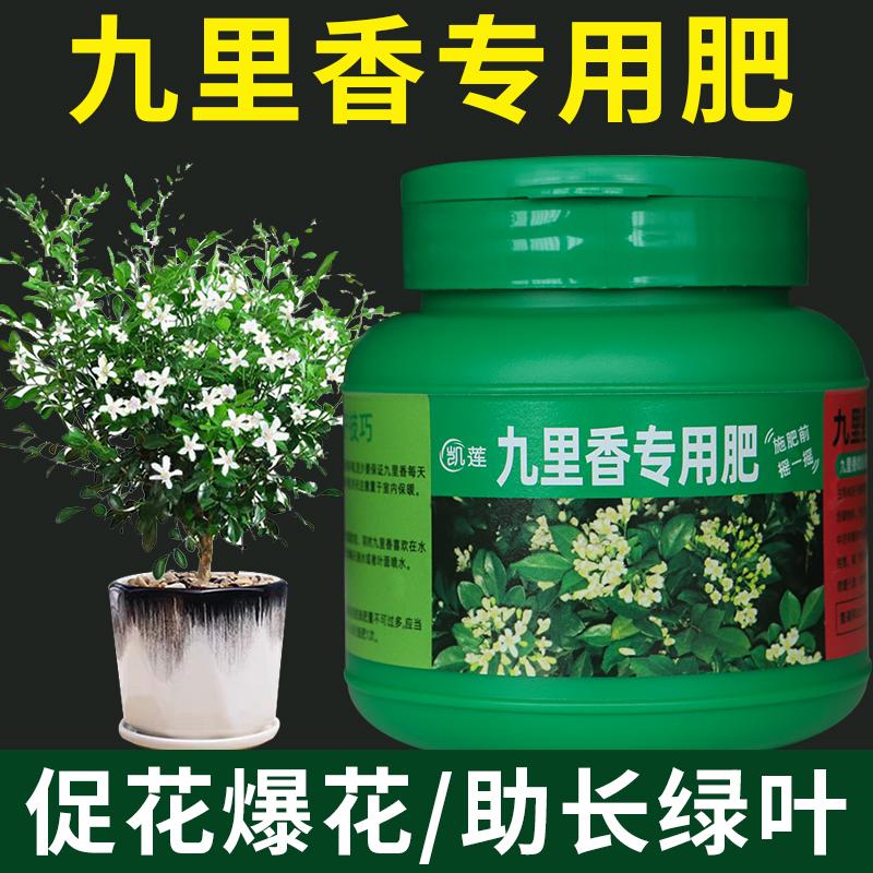 九里香肥料促暴花，促生长