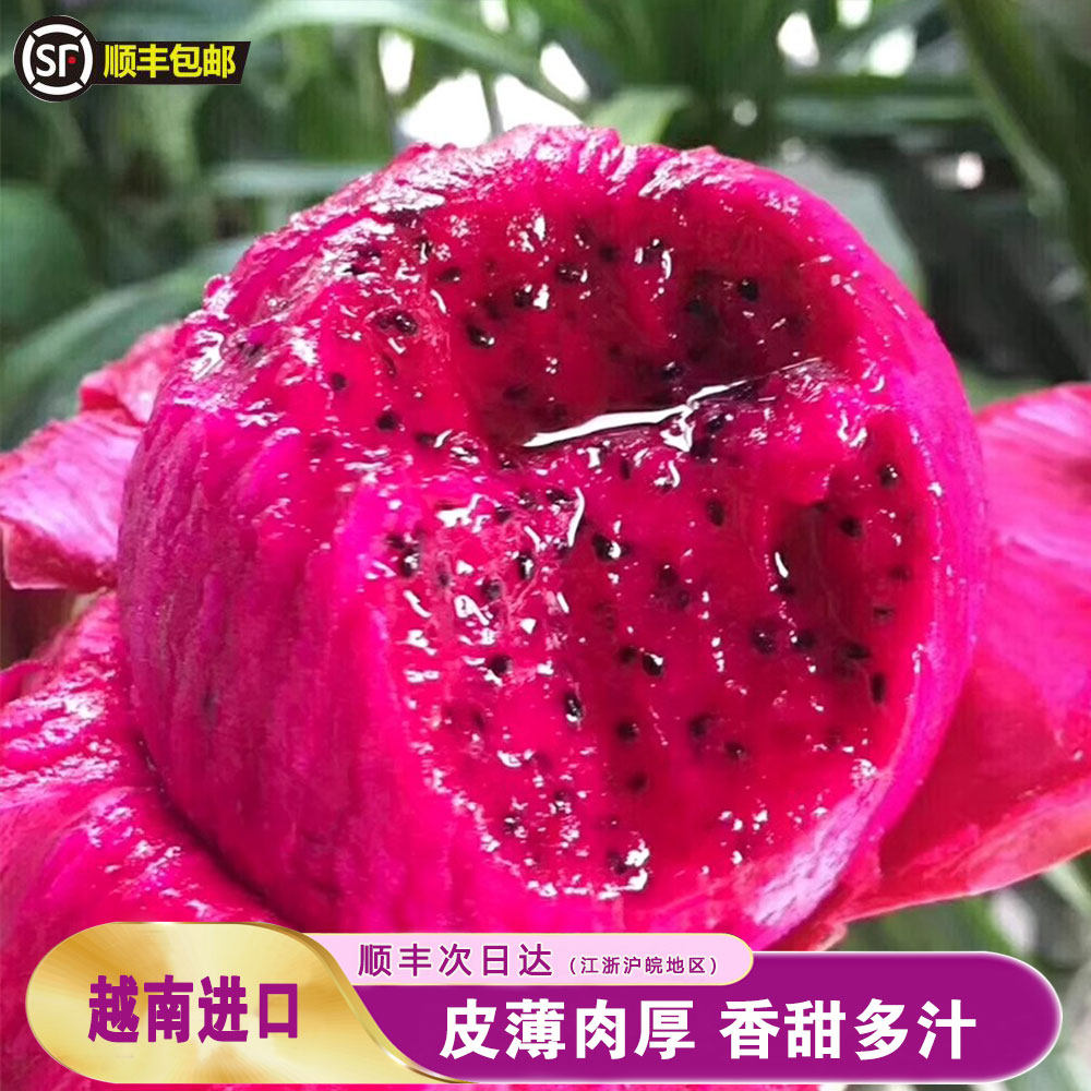 火龙果红心新鲜越南进口10斤整箱大果红肉批发现货应季水果当季