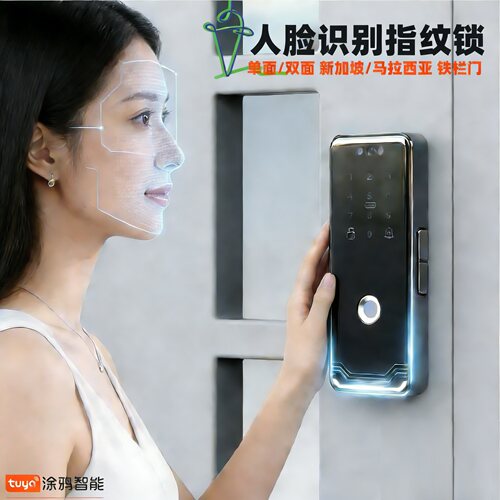 新加坡铁栏门木门指纹锁